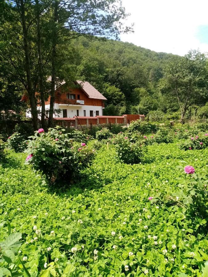 Livada Amely Hotel Gales Ngoại thất bức ảnh